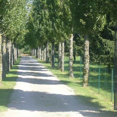 Allee Des Peupliers Bed & Breakfast Chevigny Luaran gambar